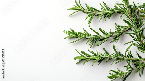 Top view of rosemary in a clean white backdrop with big copy space, Generative AI.