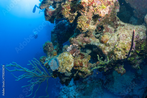 scuba diving photos from Grand Cayman