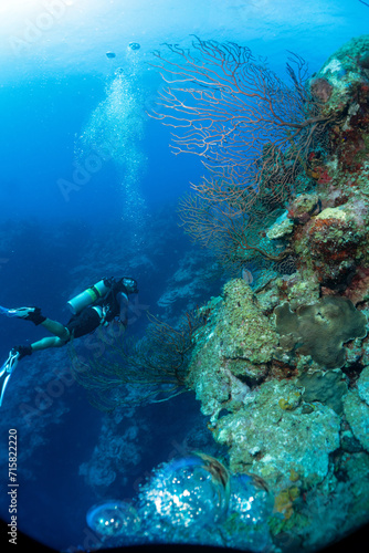 scuba diving photos from Grand Cayman
