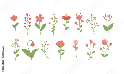 Set of doodle , flat style vector illustration , spring or summer flower , cute cartoon branch and flower red and green isolate on white background for different design uses , calendar , book , stick