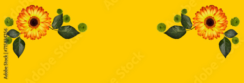 fondo amarillo con flores y espacio libre