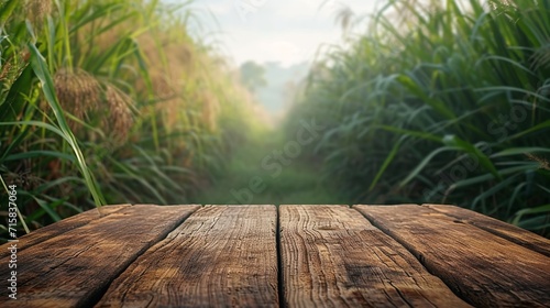 Wooden floor in a sugar cane field with a backdrop of nature, agriculture, and products on display, Generative AI. photo