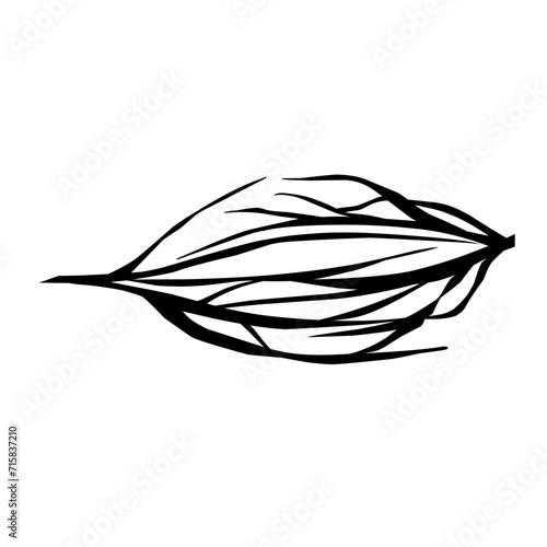 Crack vector illustration 