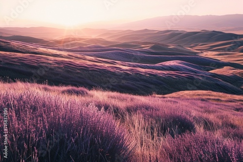 Rolling hills at sunrise with neon lavender veins in the grass,