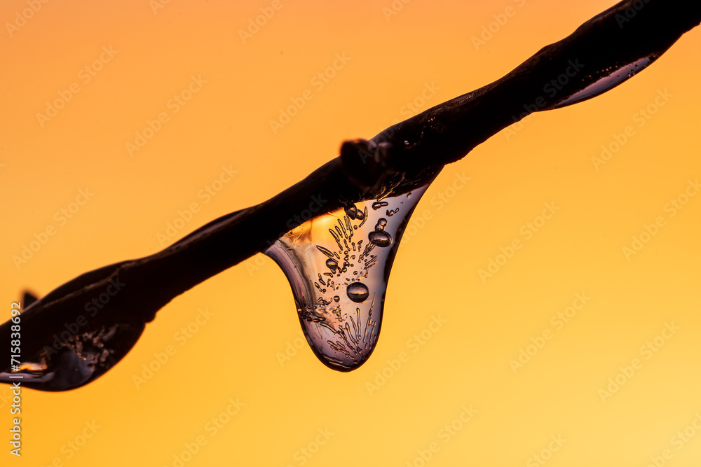 custom made wallpaper toronto digitalThe sunrise is reflected in the tiny air bubbles in a frozen drop of water