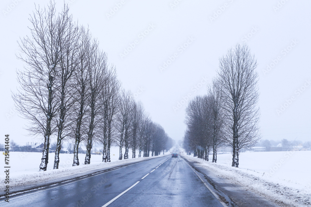 Winter landscape: numerous trees around a wet highway, a car in the distance Winter landscape: numerous trees around a wet highway, a car in the distance