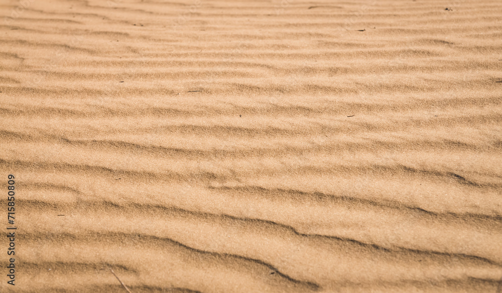 Texture of sand in the hot summer desert of Kyzylkum in Uzbekistan on a summer day Texture of sand in the hot summer desert of Kyzylkum in Uzbekistan on a summer day