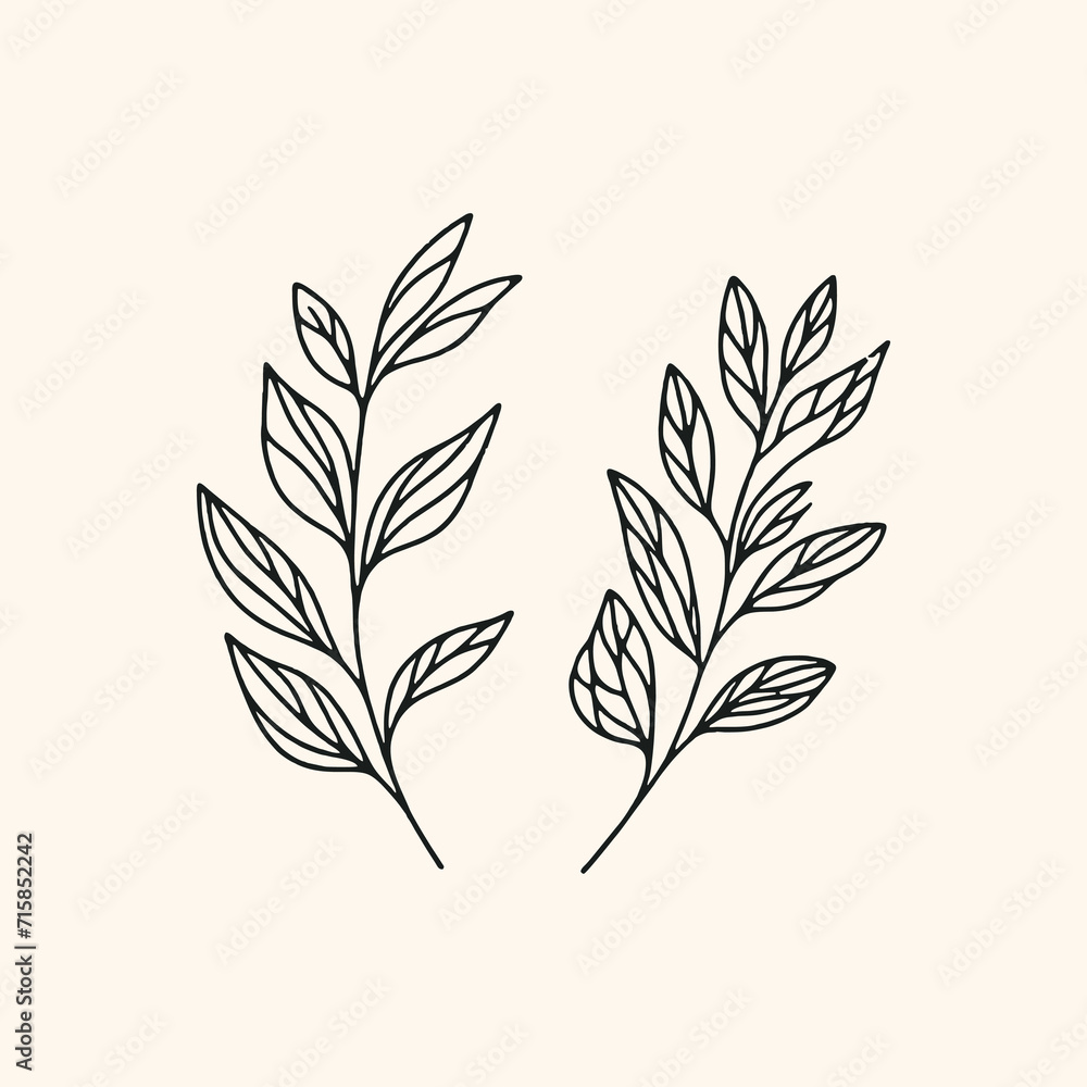 Fototapeta premium Vintage Minimalist Leaf Line Drawing Logo Design Art Illustration
