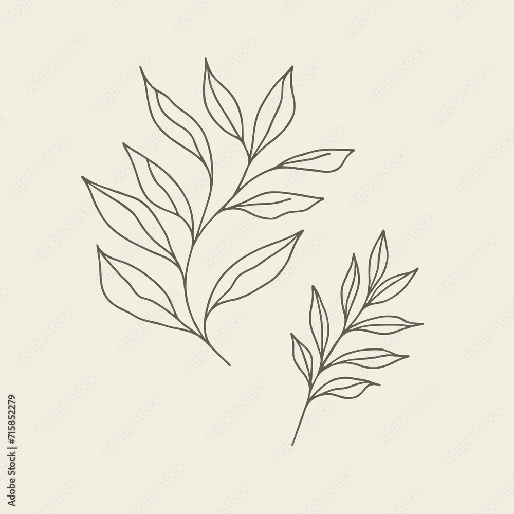 Fototapeta premium Vintage Minimalist Leaf Line Drawing Logo Design Art Illustration