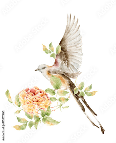 Watercolor peach blossom with a bird. Vintage poster, notebook cover, wedding invitation