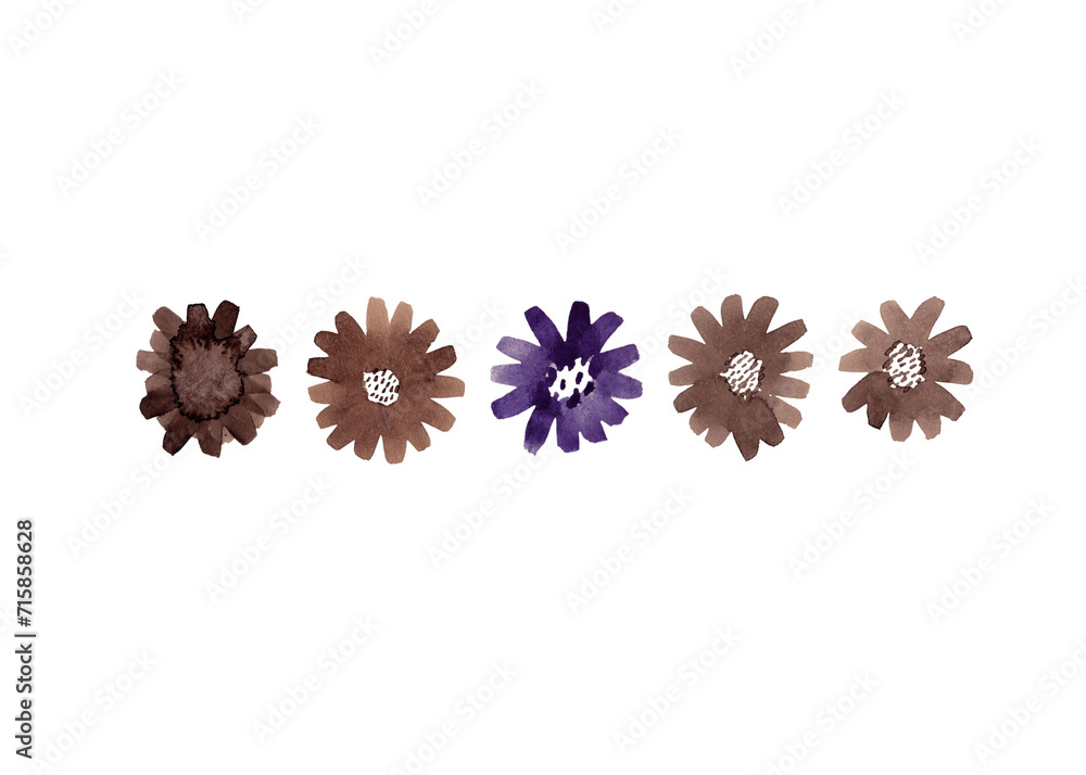Buds of chrysanthemums in coffee-violet shades. Watercolor flowers Buds of chrysanthemums in coffee-violet shades. Watercolor flowers