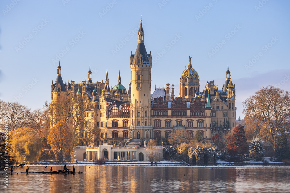 Schweriner Schloss im Winter, Schweriner See mit Kormorane im Vordergrund