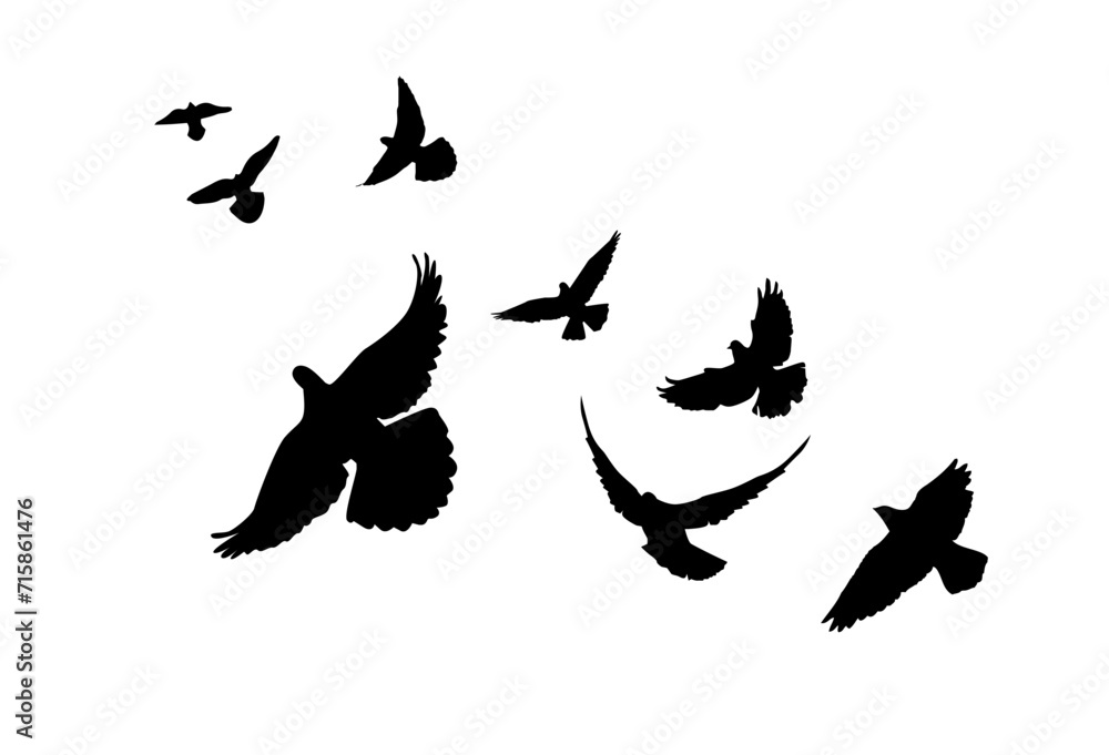 Fototapeta premium Flying birds silhouette flock. hand drawing. Not AI, Illustrat3 . Vector illustration