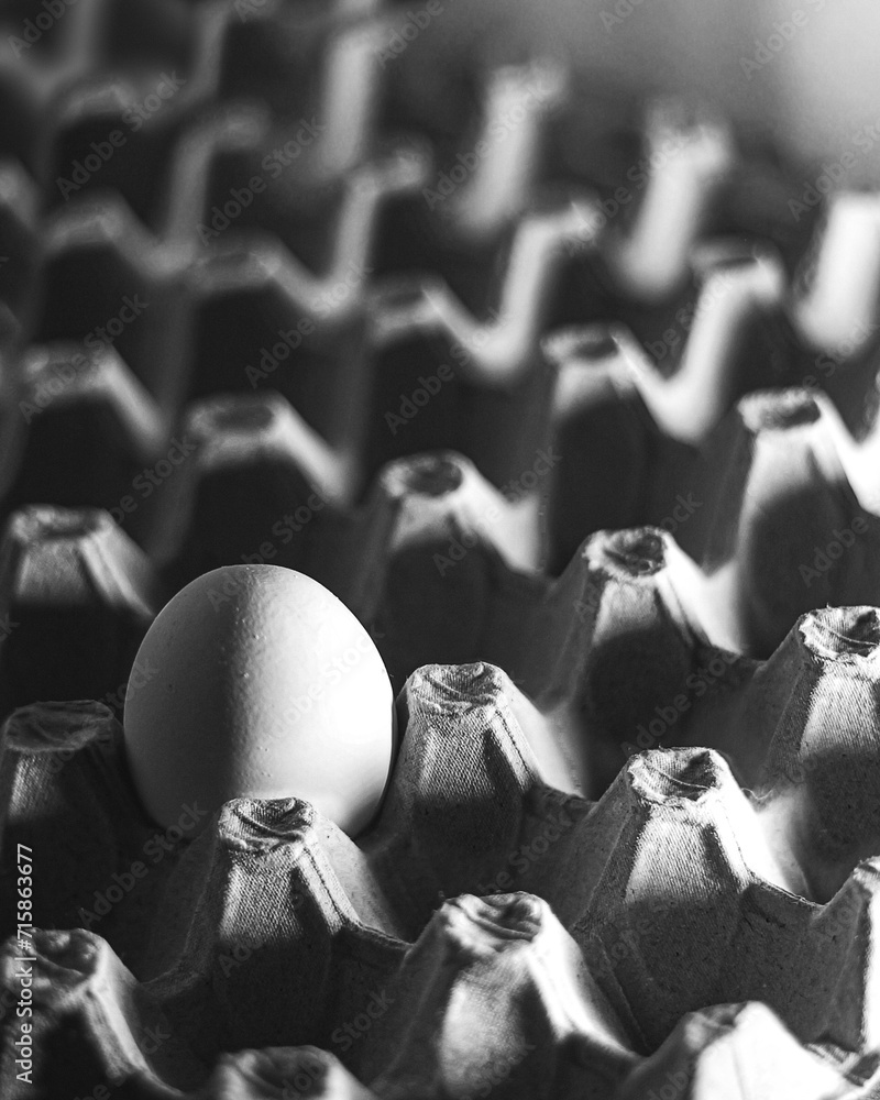 Fototapeta premium egg kitchen
