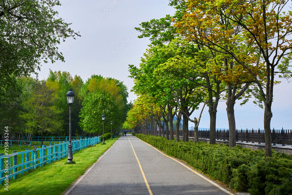 A small asphalt road flanked by a lush green lawn and trees, bathed in the warmth of a summer day. A small asphalt road flanked by a lush green lawn and trees, bathed in the warmth of a summer day.