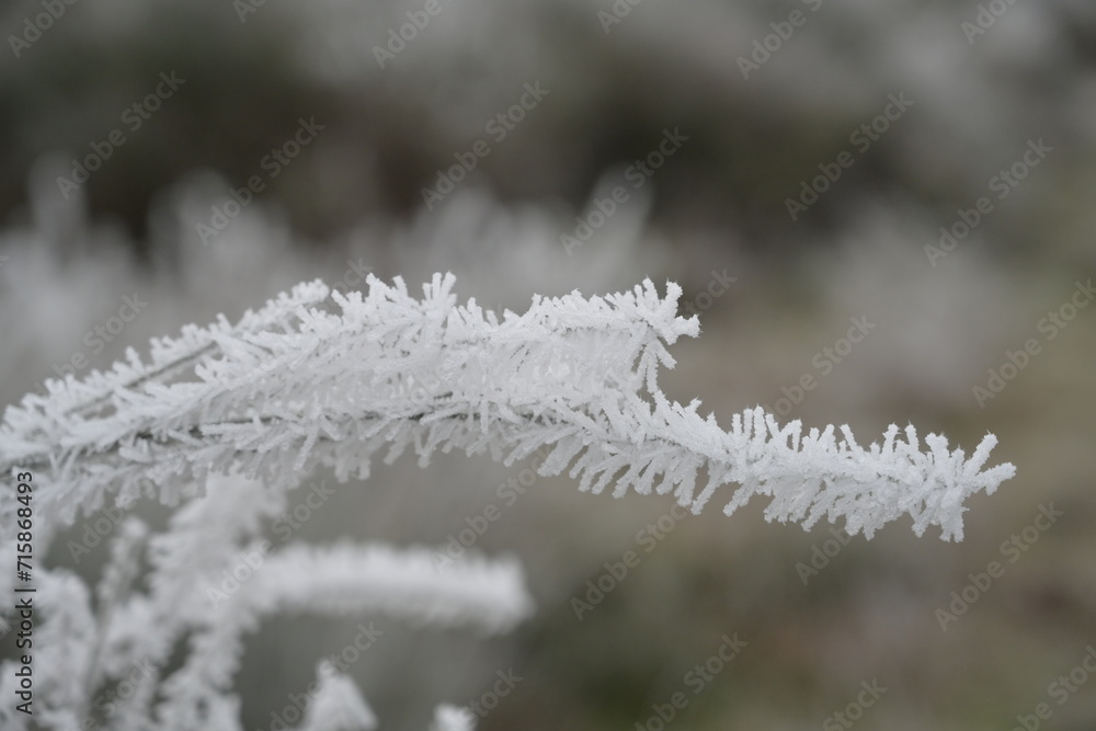 Obraz premium Astorga 