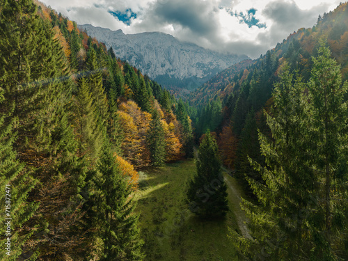 Autumn landscapes of Piatra Craiului Mountain, Romania. Aerial view from the drone. Beautiful view of yellow and green pine forest. Drone footage of amazing view to Carpathian Mountains.