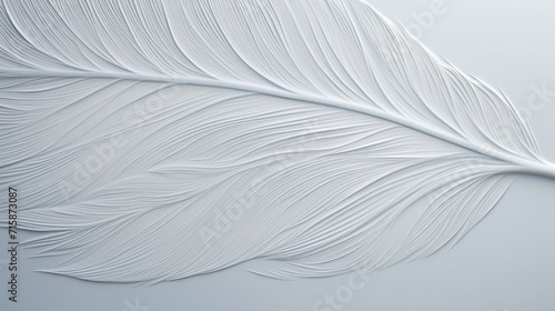 A feather embossed, tone-on-tone, on white paper