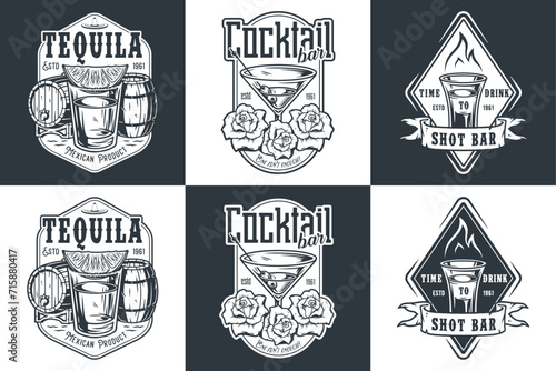 Tequila shot and martini vector set with lime and fire for alcohol cocktail bar or drink party. Vintage and retro emblem design collection for barman or bartender