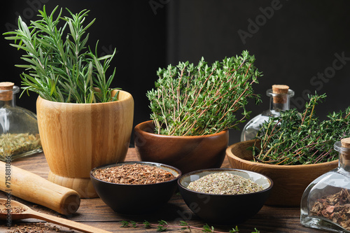 Bowls of dry different healing plants and fresh green medicinal herbs - rosemary and thyme. Bottles of dry medicinal herb for making tinctures or infusions. Alternative herbal medicine. photo