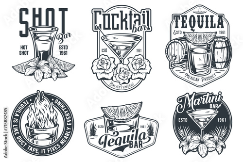Tequila shot and martini vector set with lime and fire for alcohol cocktail bar or drink party. Vintage and retro emblem design collection for barman or bartender
