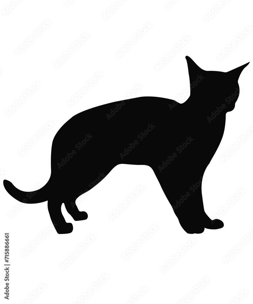 Cute cat silhouette vector illustration 