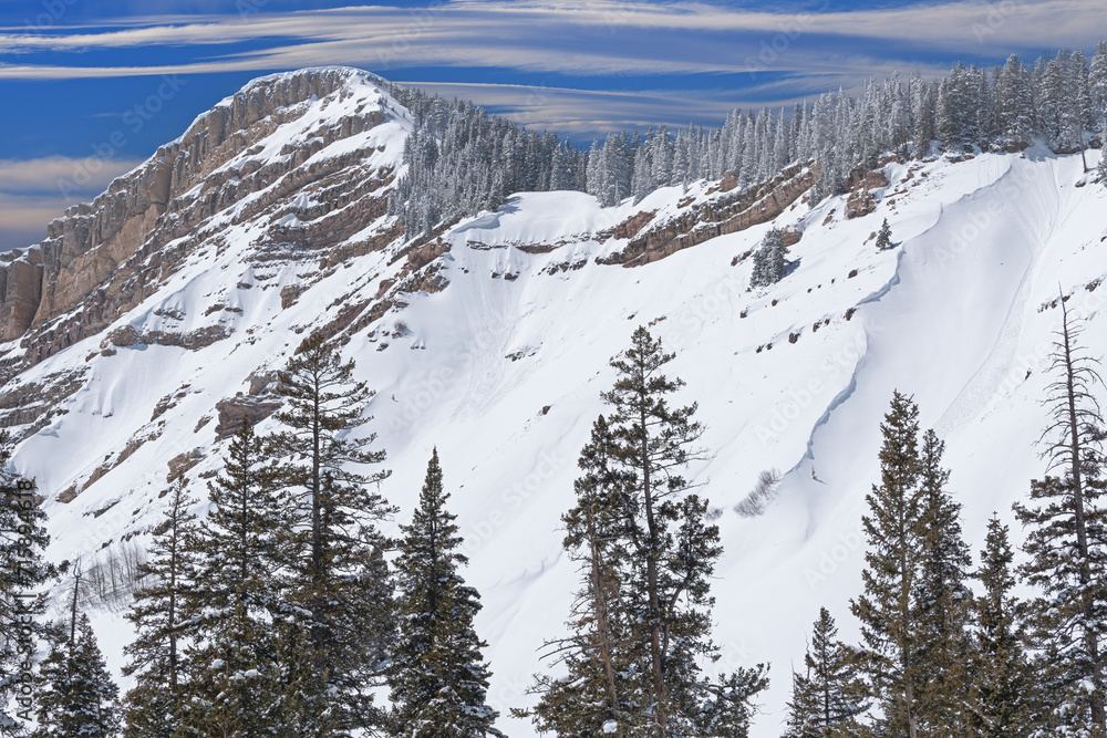 Winter landscape of the San Juan Mountains snow flocked, Colorado, USA