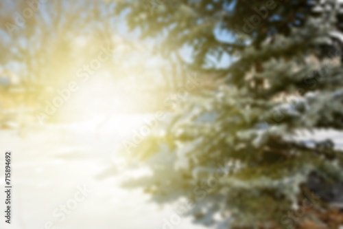 Canvastavla Winter solstice text in snowy forest natural scene.