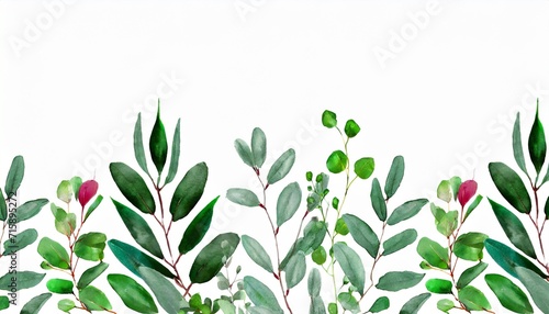 watercolor botanic leaf and buds seamless herbal composition for wedding or greeting card spring border with leaves eucalyptus