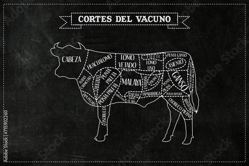 Guía de corte de carne de Vacuno photo