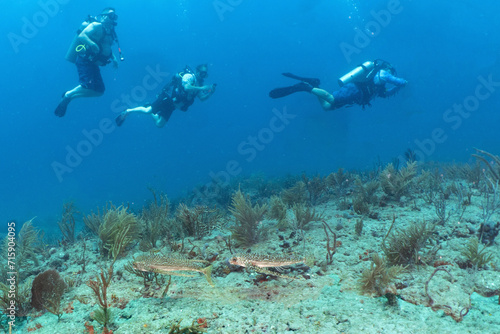 scuba diving photos, west palm beach, fl