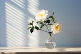  a vase filled with white flowers sitting on top of a table next to a shadow of a sunlit window.