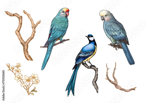 Blossom trees with birds swallow and parrots. Set, element for design. Vector illustration. In Chinoiserie, botanical style