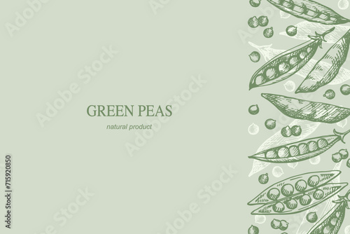 Green peas card hand drawn sketch engraved pea plant vector illustration template background for text. Design border with whole beans pea, healthy food, harvest, agriculture for label, print, wrapping