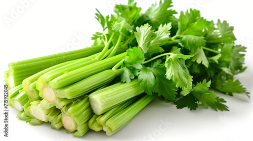 Fresh celery isolated on white background. Closeup image of celery.