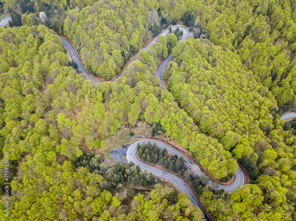 Aerial view of asphalt road winding through green springtime forest