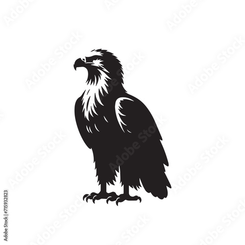 wild eagle silhouette