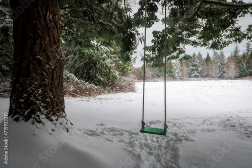 Winter snow with a swing hanging from a large fir tree seems like playful fun. Surrounded by a forest, spring seems like a long ways away. 