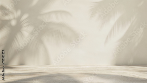 Blank white wall with shadow of palm tree, Tropical leaves. for product presentation