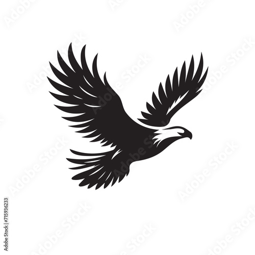 Eagle Vector Flying Silhoutte Birds