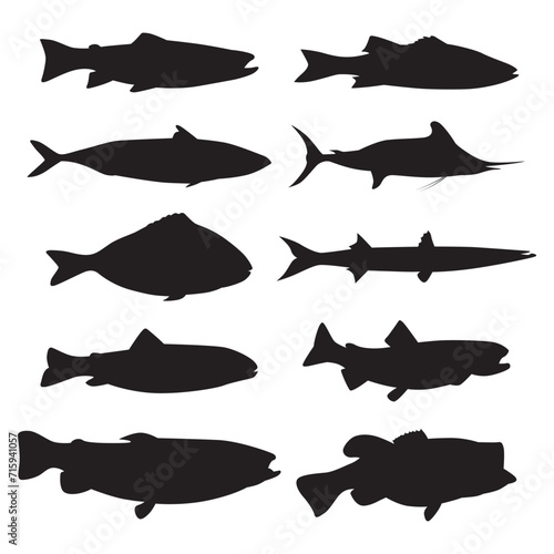 Collection of fish silhouettes various types