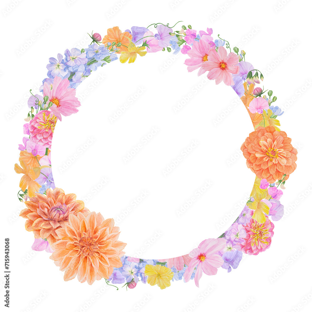 Watercolor botanical colourful round frame of summer and autumn flowers: dahlia, zinnia, lathyrus, gillyflower, nasturtium, cosmos. Good for wedding print products, paper, invitations, greetings Watercolor botanical colourful round frame of summer and autumn flowers: dahlia, zinnia, lathyrus, gillyflower, nasturtium, cosmos. Good for wedding print products, paper, invitations, greetings