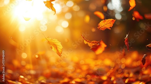 Lively closeup of falling autumn leaves with vibrant backlight from the setting sun © buraratn