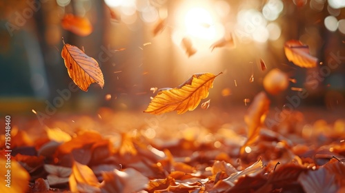 Lively closeup of falling autumn leaves with vibrant backlight from the setting sun