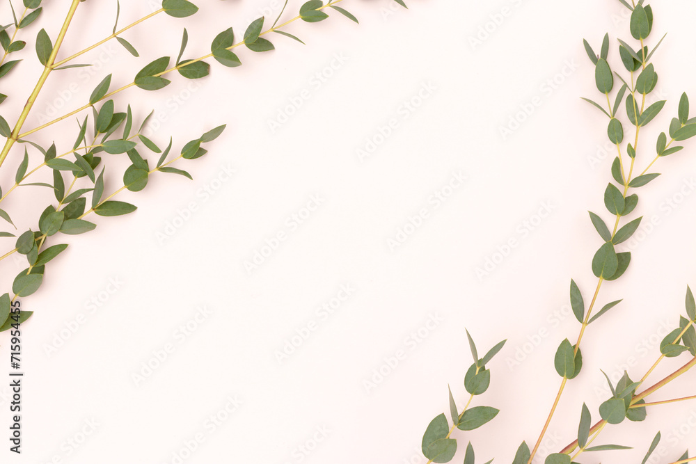 Fototapeta premium Frame made of eucalyptus branches on a beige background. Selective focus.
