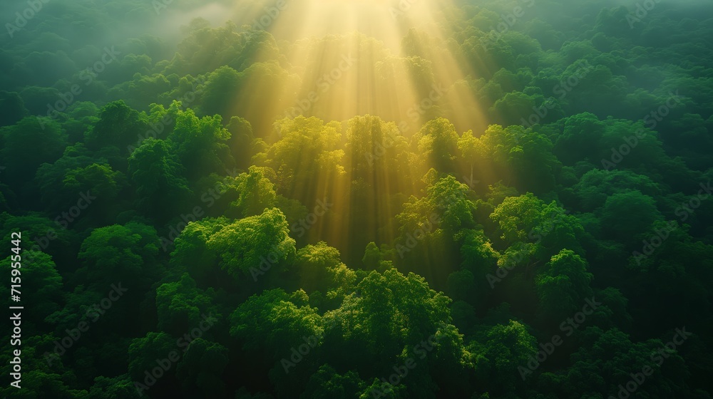 Obraz premium Drone's Eye View