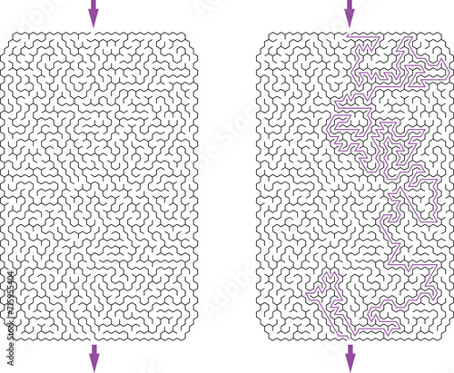 Huge vertical rectangular labyrinth with cropped corners. Maze of high complexity with solution. Black and white complex riddle with high level of difficulty. Nice brainstorm puzzle