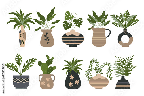 Set of indoor tropical plants in pots, hanging and floor plant pots. Plant care concept. Icons, decor elements, vector