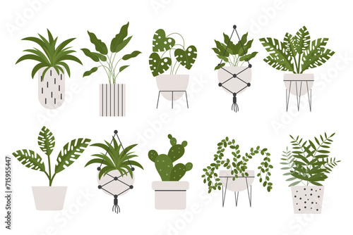 Set of indoor tropical plants in pots, hanging and floor plant pots. Plant care concept. Icons, decor elements, vector