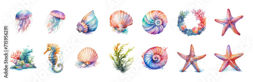 Colorful watercolor set of underwater world, isolated on white background. Starfish, shells, corals. Ideal for card, advertisement, book, poster, banner. Life in the ocean. Vector